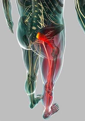 Fisioterapia para idosos